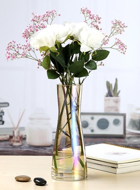 厂家批发幻彩简约水培花瓶家居装饰玻璃花瓶客厅餐桌插花装饰