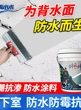 背水面负压防水涂料室内墙面地面专用材料屋顶防霉防潮渗透补漏压