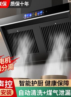 大吸力抽油烟机家用厨房双电机排油机出租房小型侧吸油烟机