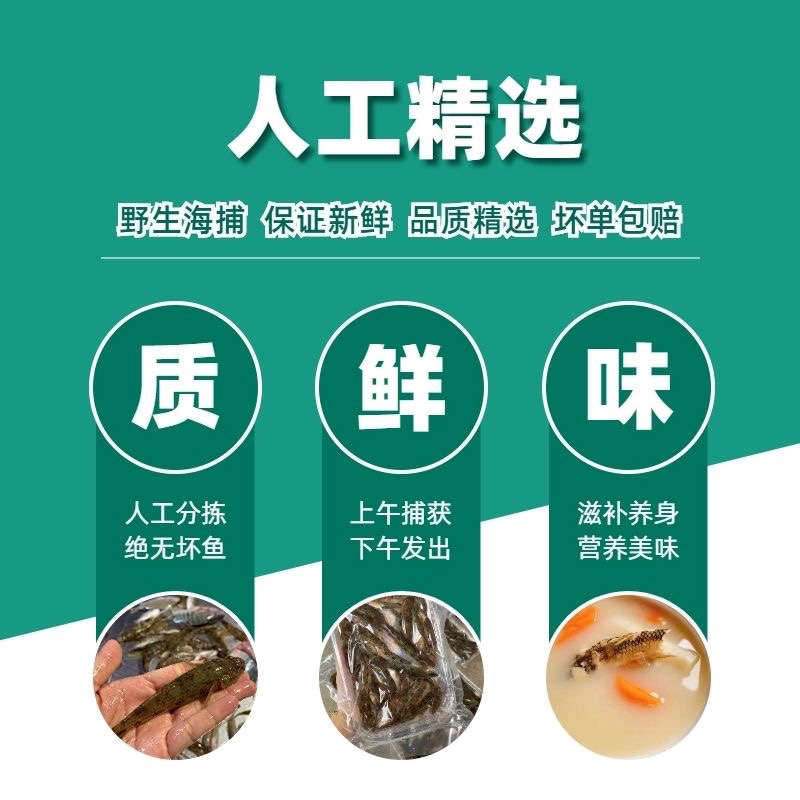 海鱼河鱼笋壳鱼潮汕狗母九母鱼鲜活新鲜沙塘鳢孕妇术后营养煲汤鱼,淘宝优惠券,粉丝福利购,淘宝优惠卷