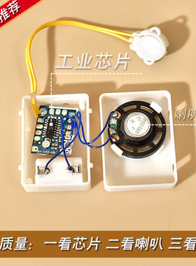 可录音DIY音乐盒按捏发声器毛绒玩具录音器表白可放挂件娃娃