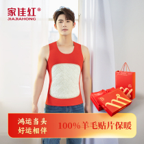 Jia Jia Hongbens life mens red warm vest inside wearing dragon year wedding close-fitting unmarked wool patch horse chia