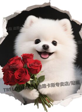 网红爆款博美犬贴纸可爱狗狗自粘门贴室内墙上遮丑补洞防水贴画