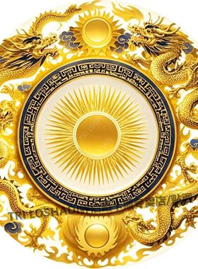 真龙守护金龙贴纸壁画客厅玄关墙贴开运风水八卦图平安自粘门贴画