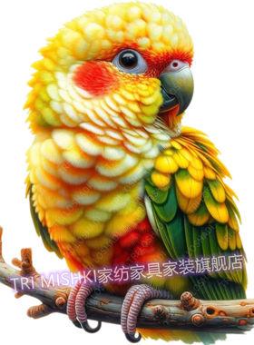 七彩鹦鹉小鸟贴纸客厅墙上装饰贴画遮丑墙纸自粘贴防水门窗贴画