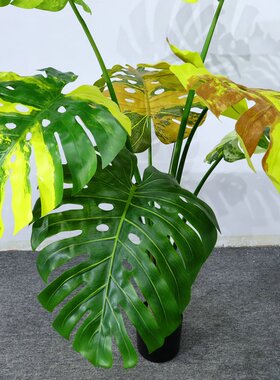 ins黄白锦龟背竹仿真绿植盆栽大型仿真室内客厅落地装饰摆件