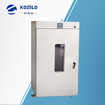 Vertical dry electric heating thermostatic blast box drying case High-temperature drying-up hot air circulation oven