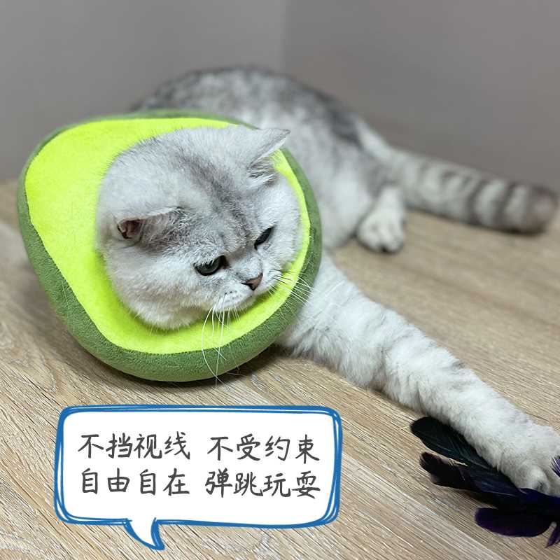 宠物猫咪狗狗伊丽莎白圈幼猫防舔圈头套项圈伊莉莎白圈小猫猫脖圈 - 图2