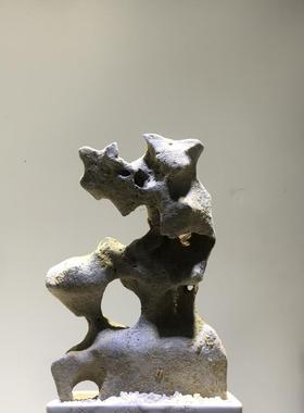 太湖石天然原石奇石鱼缸摆件假山石头景观石盆景附石观赏石灵璧石