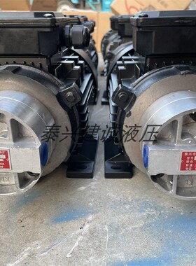 BBS-10双向摆线油泵电机LB-BB6/BB4/10颗粒机减速机油泵750W 8024