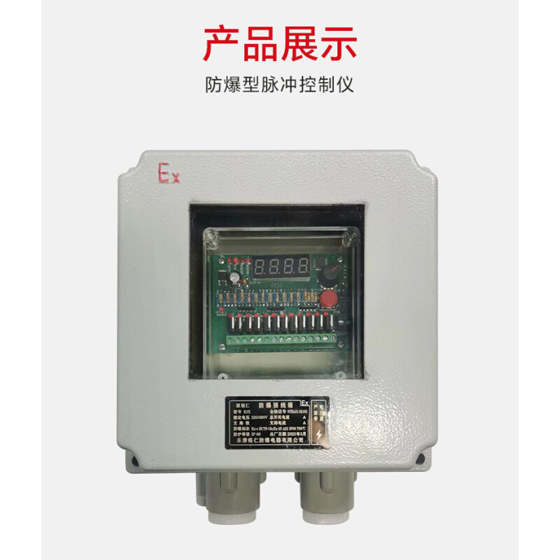 防爆型脉冲控制仪在线离线布袋除尘器专用控制器1-100路24V220V - 图3