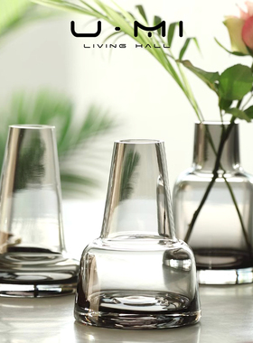 U Mi LIVING · 透彻 | 北欧ins简约创意透明花瓶水培器皿插花器