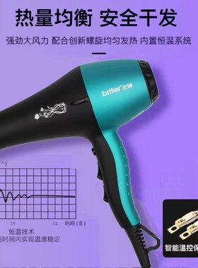 艾德森比特8858理发店发廊专用大功率超强风吹风机高速大电机风筒
