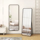 Full body mirror dressing floor mirror home wall hanging