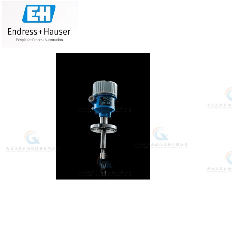 FTL41 FTL3h1 FTL33 FTL51B FTL62 FTL64 FTL51H音叉开关 E+H - 图2