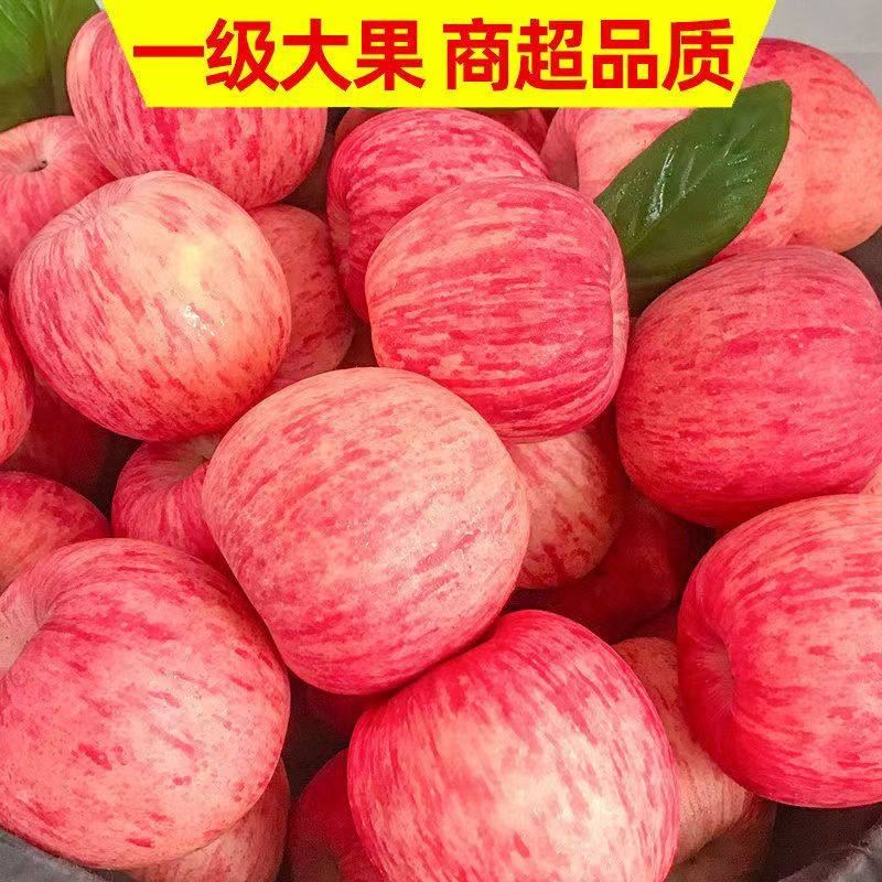 顺丰正宗陕西延安洛川苹果脆甜现摘新鲜水果红富士高端礼盒精品果,淘宝优惠券,粉丝福利购,淘宝优惠卷