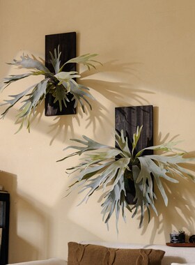 垂吊植物壁挂绿植仿真鹿角u蕨室内装饰造景蕨类植物墙面装饰挂饰