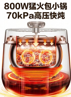 苏泊尔电压力锅球釜双内胆智能