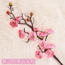 Spring March Dance Flower Branches Props Cold Snap and Flowers Emulated Plum Blossoms Peach Blossom Dried Flower Stage Props