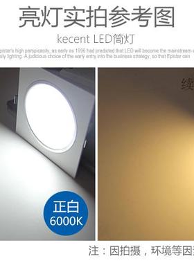 格栅筒灯15X15方形铁铝格子led双头10*20公分葡萄架专用6寸黑射灯