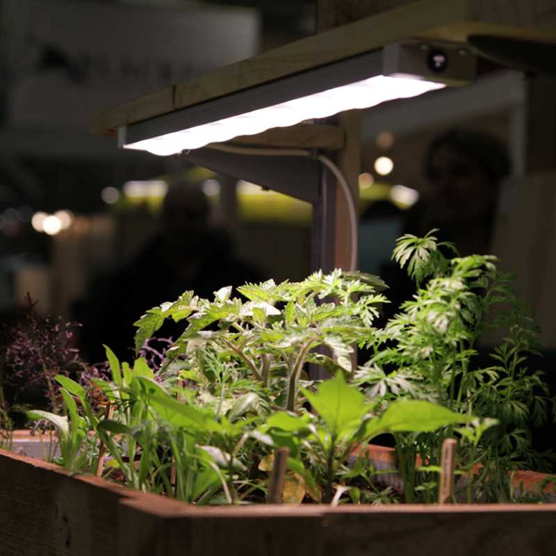 科瑞LED植物生长灯全光谱多肉补光灯上色室内雨林缸盆栽微景观灯 - 图2