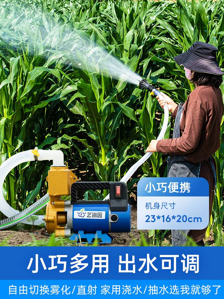 农用灌溉浇水机浇菜神器12V48V220v抽水机大功率自动浇地家用水泵 - 图0