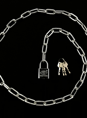 铁链子加长款锁链连锁狗笼链条锁大门锁加粗商铺多用途挂锁电单车