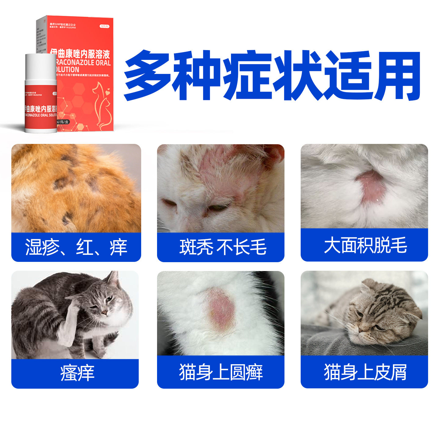 伊曲康唑口服液宠物猫癣狗癣狗狗猫咪皮肤病马拉色真菌感染专用药,淘宝优惠券,粉丝福利购,淘宝优惠卷