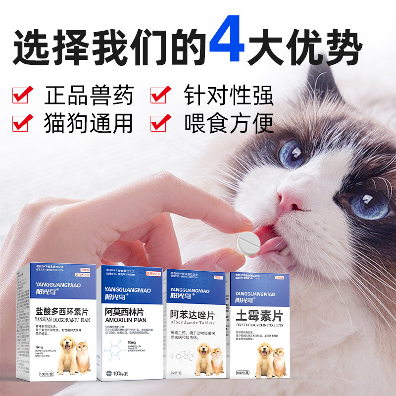 猫咪感冒药狗狗咳嗽阿莫西林片消炎止咳药猫鼻支流鼻涕肺炎常备药,淘宝优惠券,粉丝福利购,淘宝优惠卷