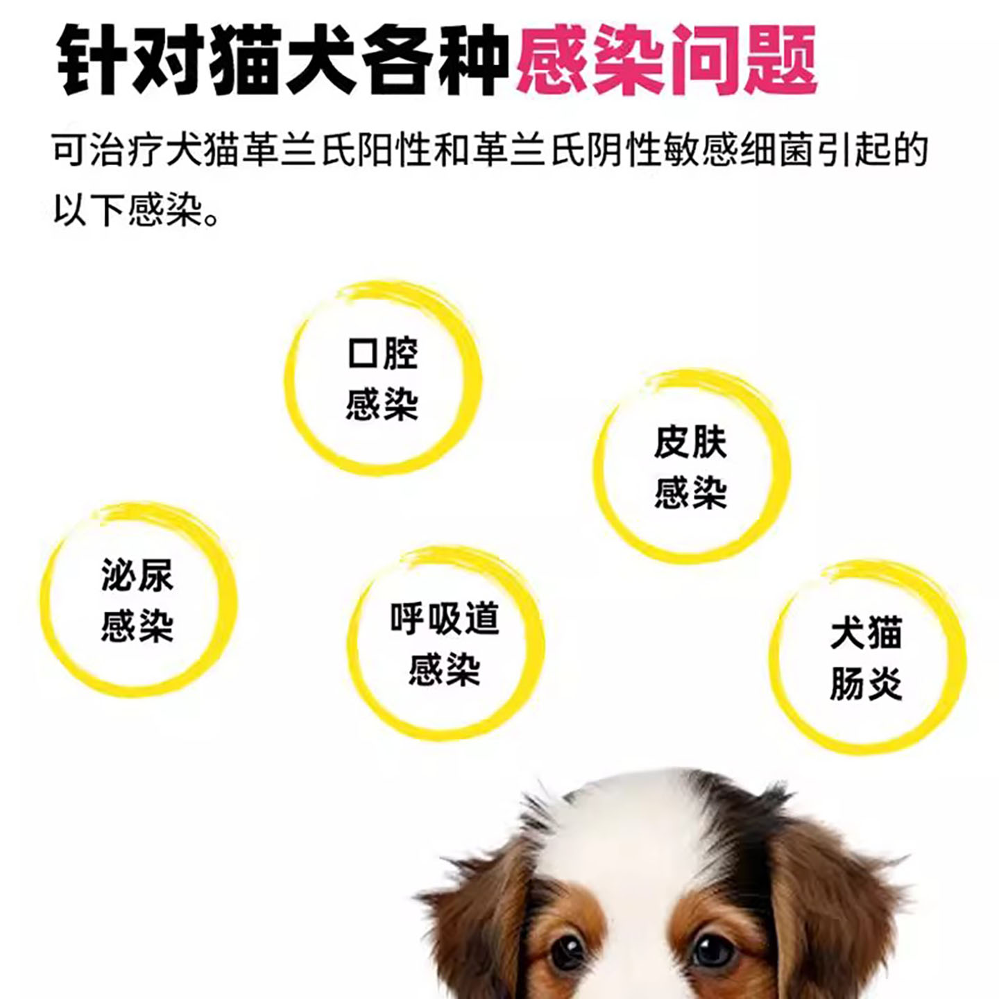 禧多克阿莫西林克拉维酸钾宠物消炎药犬猫感冒皮肤病伤口泌尿感染 - 图1