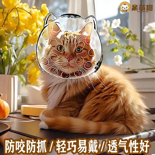 猫咪太空头罩防咬猫头罩脚套剪指甲洗澡打针防抓防舔伊丽莎白项圈