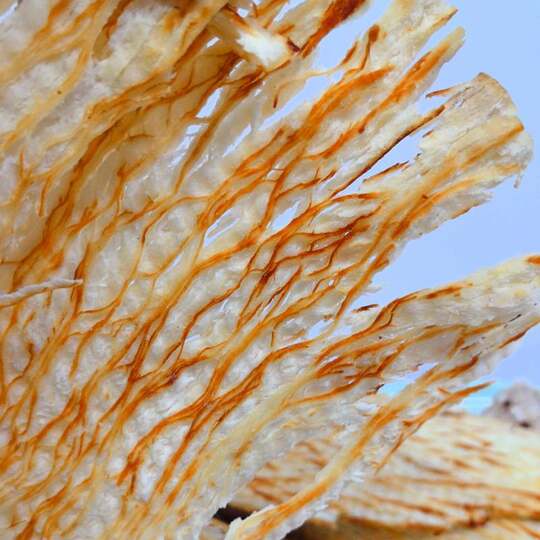 铁板烤鱿鱼片 手撕白板拉拉风琴片 鲜烤奶香味鱿鱼丝 500克实惠装