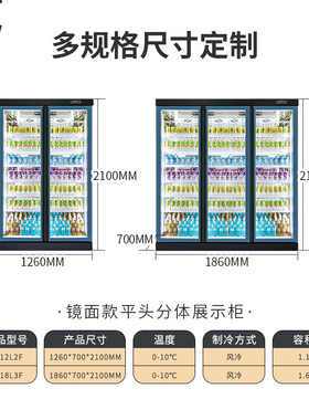 雅绅宝厂家直供超市饮料柜商用冷柜便利店立式双门啤酒冷藏柜设备