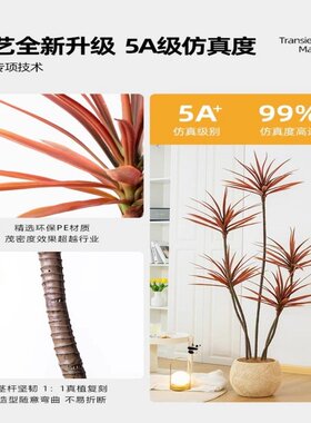 假绿植龙血树轻奢仿真植物高端室内客厅装饰落地摆件大型仿生花树