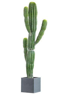 一件代发室内仿真植物装饰多头摩洛哥仙人柱仙人掌盆栽落地假植物