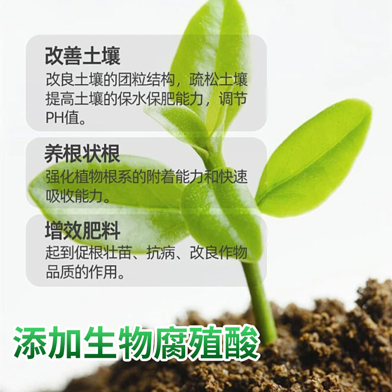 寿禾蔬菜苗专用营养液 番茄黄瓜辣椒菜苗 种蔬菜肥通用型种菜肥料 - 图0