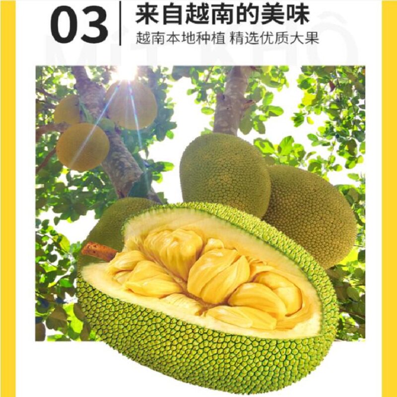 图 4