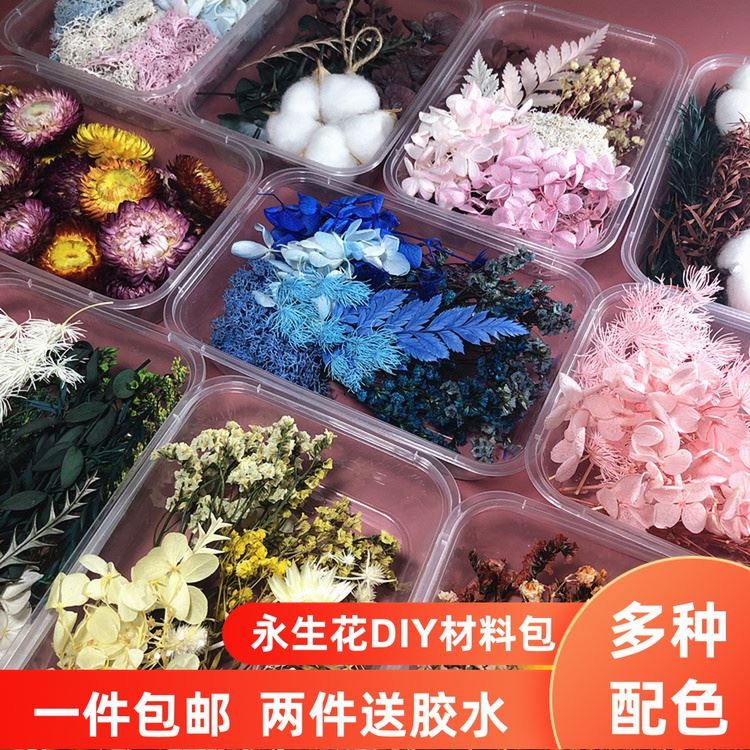 永生花干花材料包DIY相框贴画团扇浮游团建活动花艺课手工花料包-图0