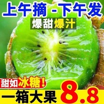 Shaanxi Week to Xu Xiangkiwi Goodies Fresh Fruit When Season Full Box 10 catties of Chipagin Mall Peach Eyebrow County