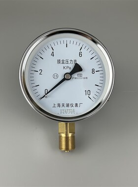 上海天湖YE-100膜盒压力表0-10KPA 微压表 风压表 M20*1.5螺纹