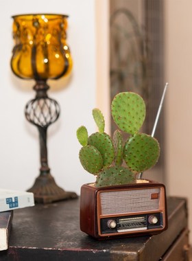 创意复古收音机造型摆件花盆 家居个性多用途盆栽 树脂工艺品古典