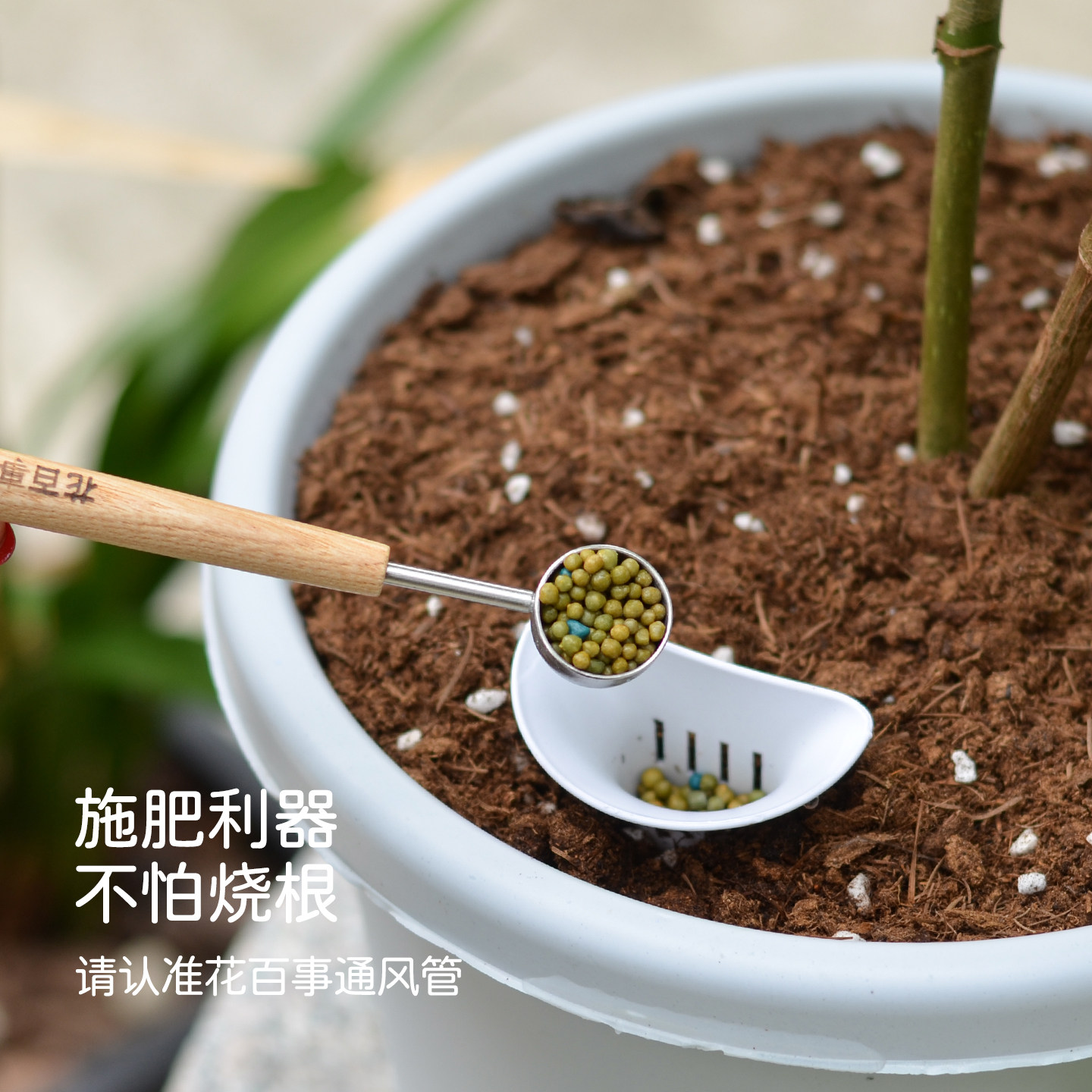 盆土通风透气管花盆花卉盆景种植种花土壤透气防板结防烂根通风管,淘宝优惠券,粉丝福利购,淘宝优惠卷