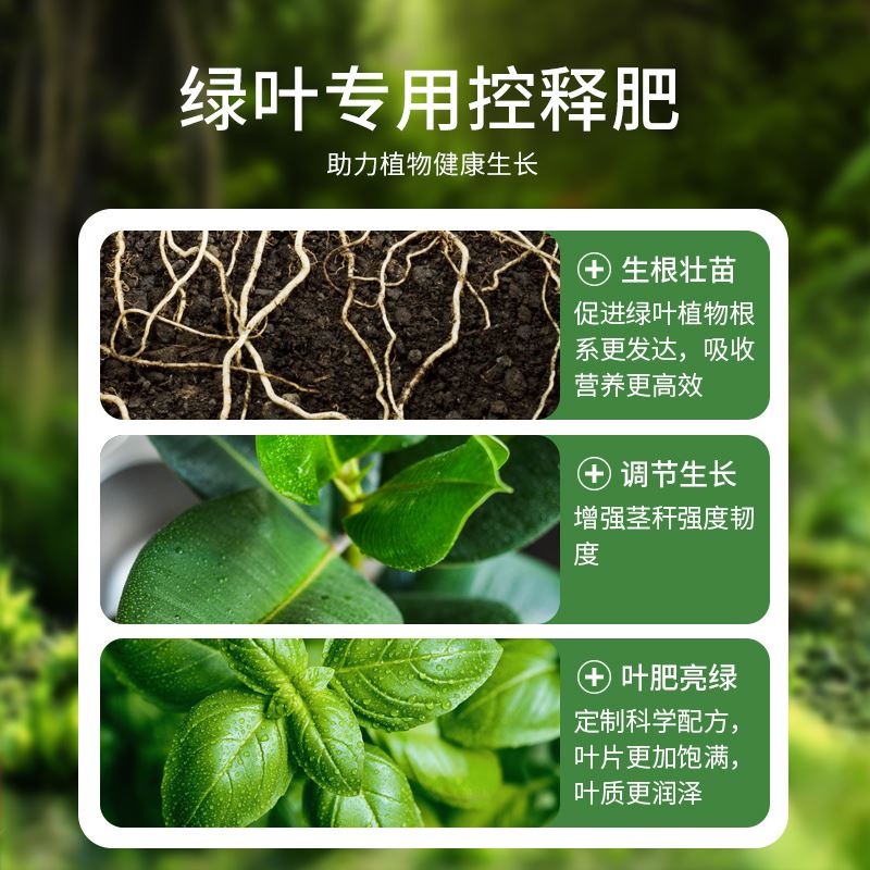 绿叶专用肥控释复合肥料盆栽通用型室内植物发财树绿萝富贵竹花卉 - 图2