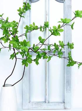 日本吊钟仿真绿植客厅摆设装饰花马醉木树枝树叶子假花塑料花干花
