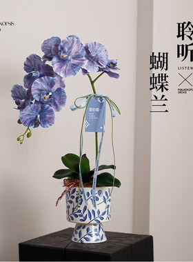 新中式家居摆件青k花瓷花瓶插花艺摆件桌面客厅装饰蝴蝶兰彷真假