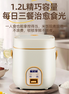 正品半球迷你1人宿舍用电饭煲