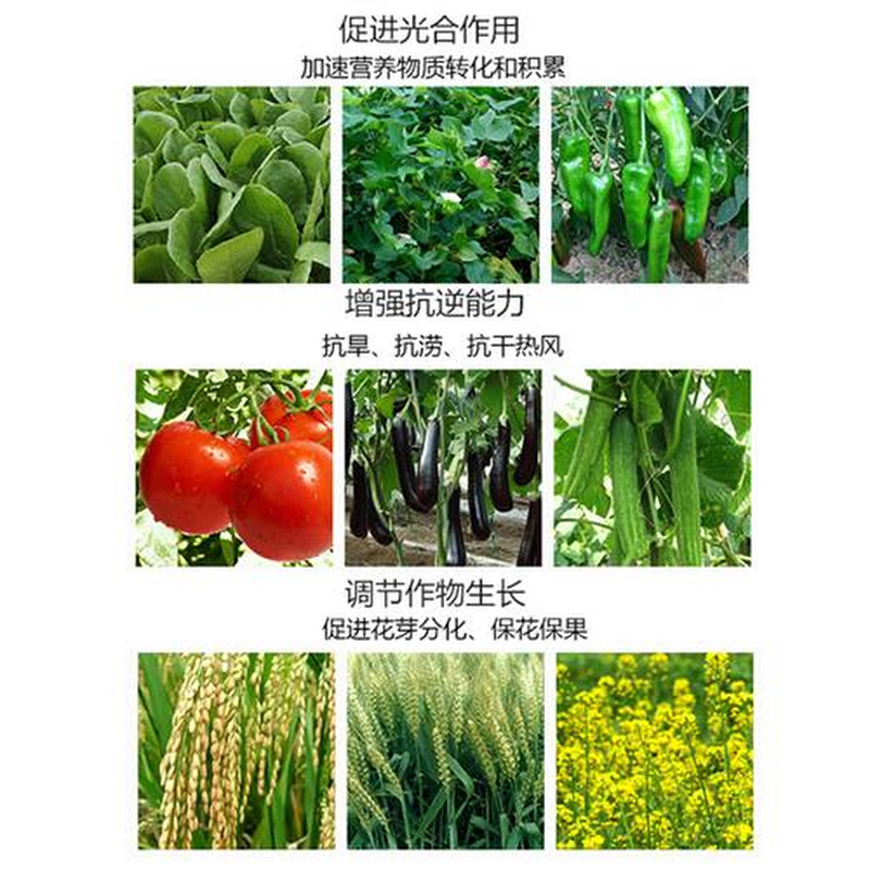 磷酸二氢钾叶面肥通用花肥料盆栽蔬果肥菜肥多肉花卉复合肥高钾肥 - 图1