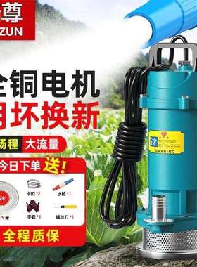 大流量潜水泵220v伏家用抽水泵小型农用农田灌溉水井抽河流高扬程