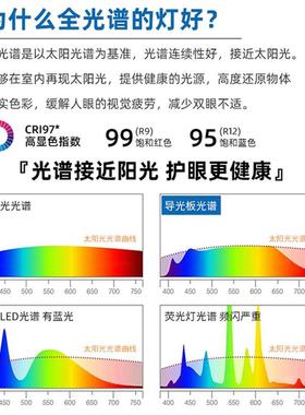 全光谱LED北欧创意奶酪卧室吸顶灯温馨浪漫家用房间灯原木风灯具