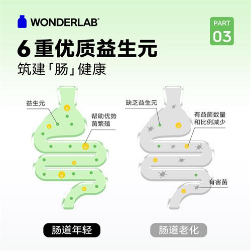 wonderlab白芸豆阻断剂膳食纤维小绿条官方旗舰营养冲泡固体饮料 - 图1